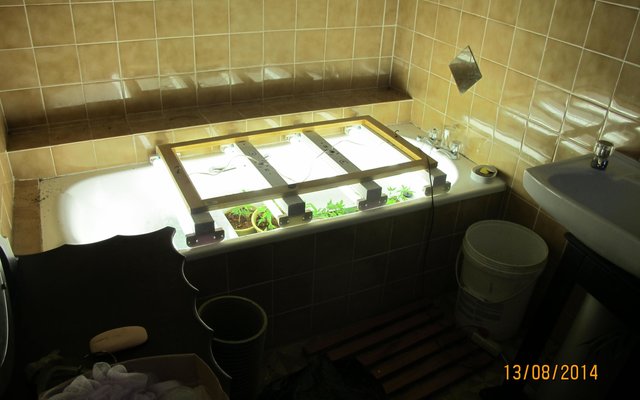 Gansbaai Egpaar vas oor dagga kweek kamer_1